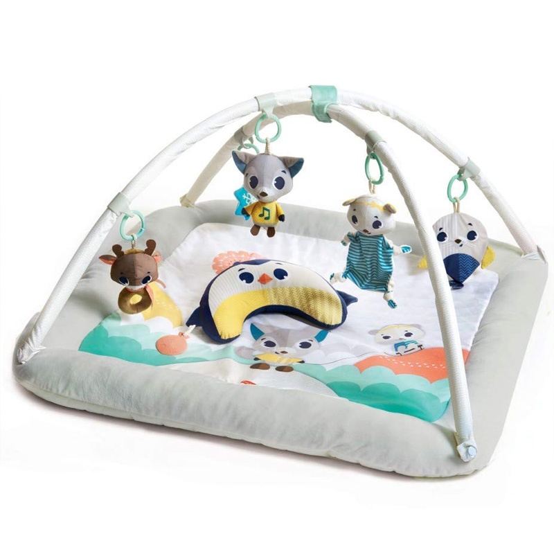 Hracia deka s hrazdou Arktická krajina