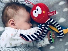 Bielo čierna chobotnička Mini